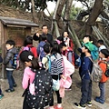 IMG_2341.jpg