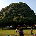 IMG_2356.jpg