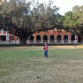 IMG_2365.jpg