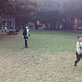 IMG_2372.jpg