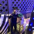 IMG_2382.jpg