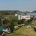 IMG_2855.jpg
