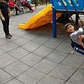 IMG_2866.jpg