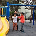IMG_2878.jpg