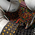 IMG_2885.jpg