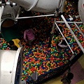 IMG_2887.jpg