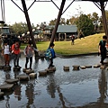 IMG_2890.jpg