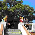 IMG_3472.jpg