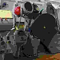 IMG_3529.jpg