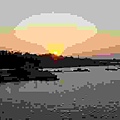 IMG_3541.jpg