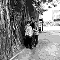 IMG_E3021.jpg