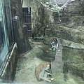 IMG_9442.jpg
