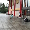 IMG_0681.jpg