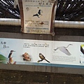 JMHW8749.jpg