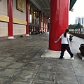 IMG_2671.jpg