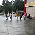 IMG_4378.jpg