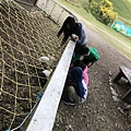 IMG_6002.jpg