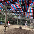 IMG_0658.jpg