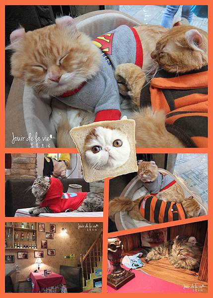 DSCF1511_meitu_3.jpg DSCF1511_meitu_3.jpg