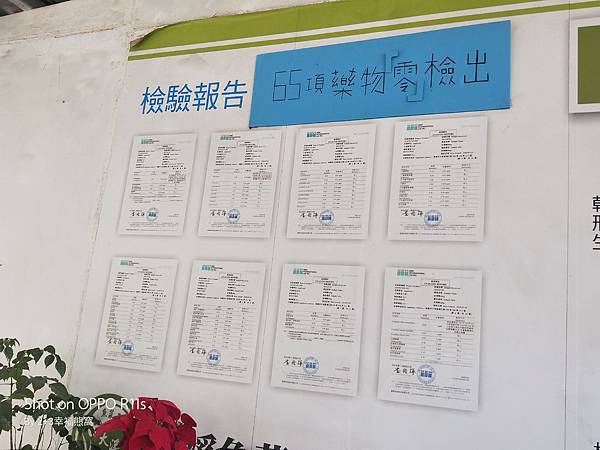 IMG20200229111647 IMG20200229111647