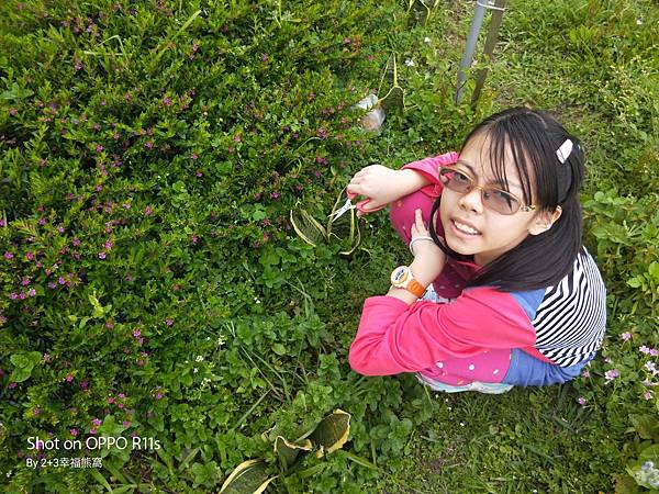 IMG20200229114932 IMG20200229114932