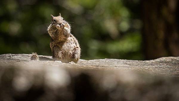 marcelo-vaz-339987.jpg marcelo-vaz-339987.jpg