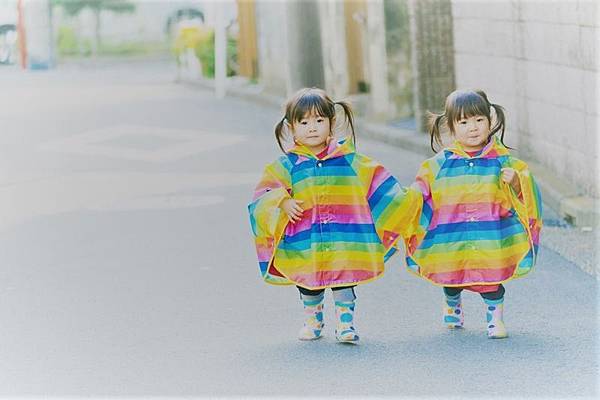 aomidori0I9A8593_TP_V.jpg aomidori0I9A8593_TP_V.jpg