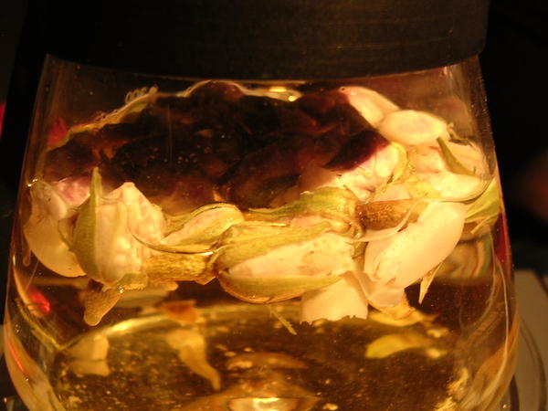 茶裡的玫瑰花