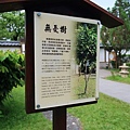 吉安慶修院4.jpg