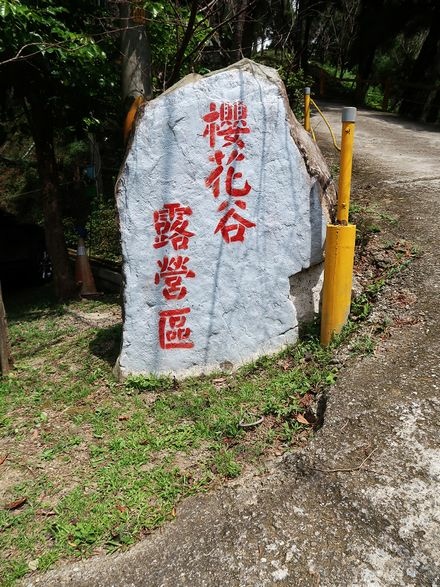 櫻花谷5.jpg