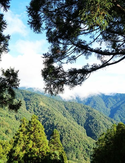 家庭旅行53.jpg
