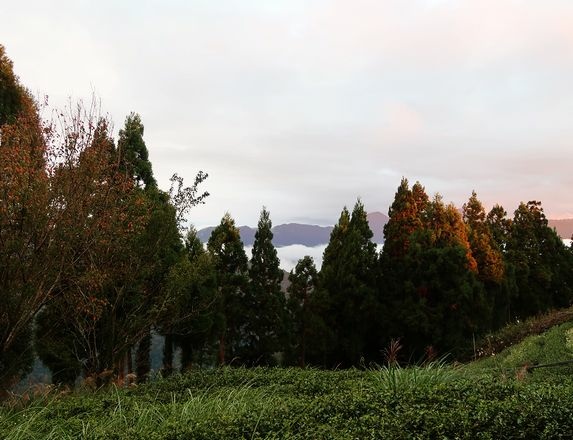 家庭旅行61.jpg