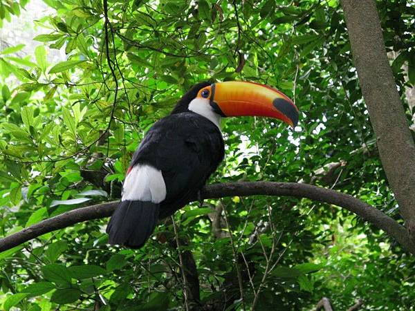 【鳥類生態公園】這兒很棒