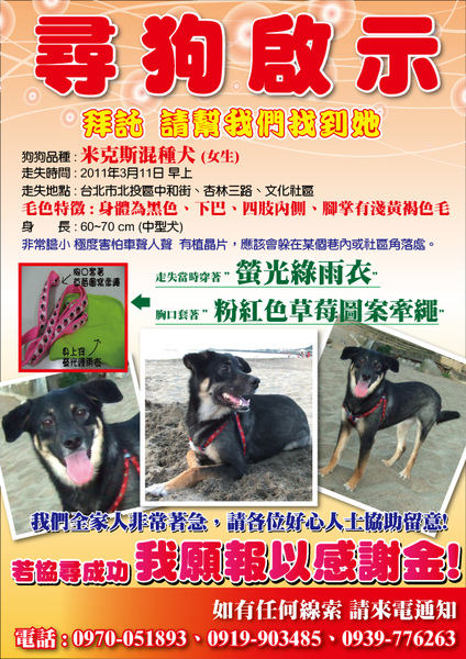 1000314-北投愛犬協尋-3.jpg 1000314-北投愛犬協尋-3.jpg