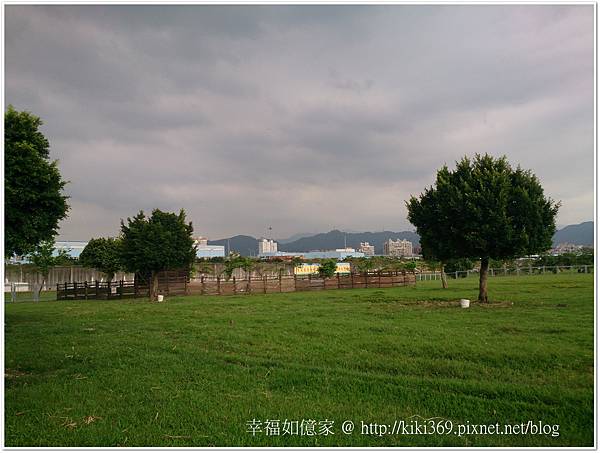 板橋 浮洲橋下看羊 (1).JPG