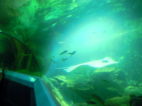 DSCN5416.JPG