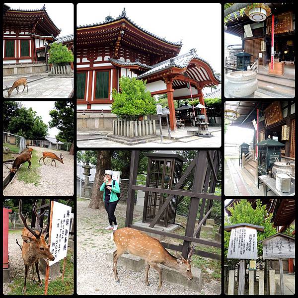 120830-15-興福寺