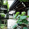 140808-016.jpg