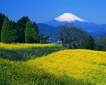 02富士山-2.jpg