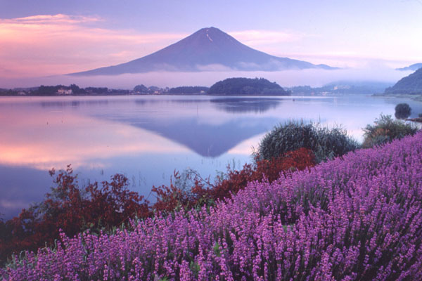 02富士山-4.jpg