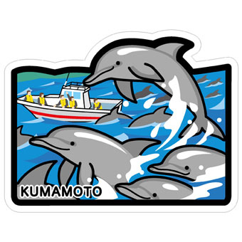 KUMAMOTO熊本-野生海豚.jpg