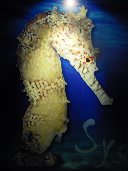 DSCN5378.JPG
