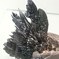 DSCN5807.JPG