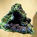 DSCN5820.JPG