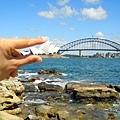 thumb