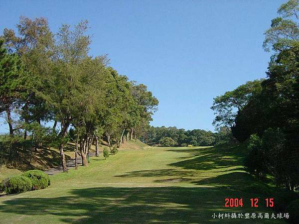 豐原高爾夫球場 IN 第1洞 PAR5 500碼