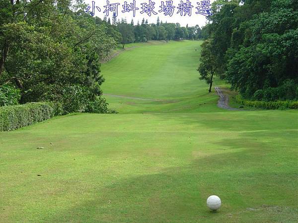 南投(松柏嶺)球場 IN 第18洞 PAR5 485碼 難度 8