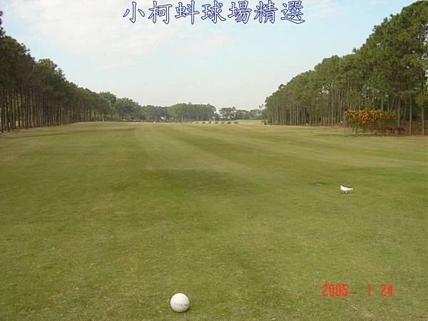空軍清泉崗(CCK)高爾夫球場 In 第4洞 Par5  480碼