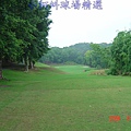 台豐球場 IN 第15洞 PAR3 191碼  難度8