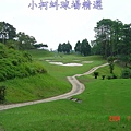 霧峰高爾夫球場 IN 第13洞 PAR3 135碼  難度16